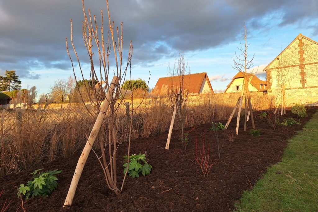 Création de jardin par l'Atelier de Flo, paysagiste Bois-Guillaume