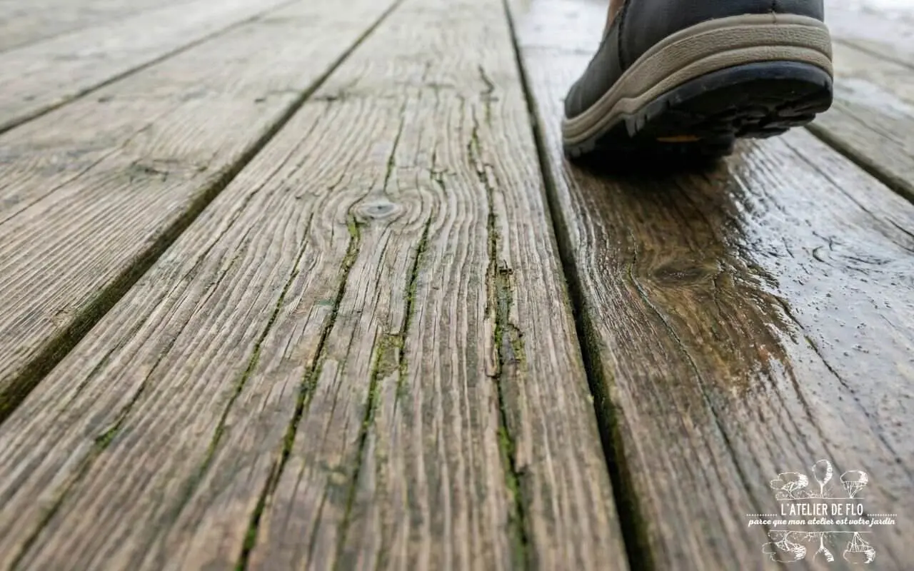 Nettoyage d'une terrasse envahie par la mousse à Rouen