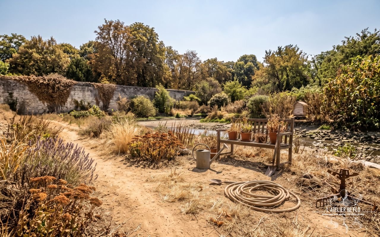 Votre jardin jaunit ? Ne sortez pas le tuyau trop vite