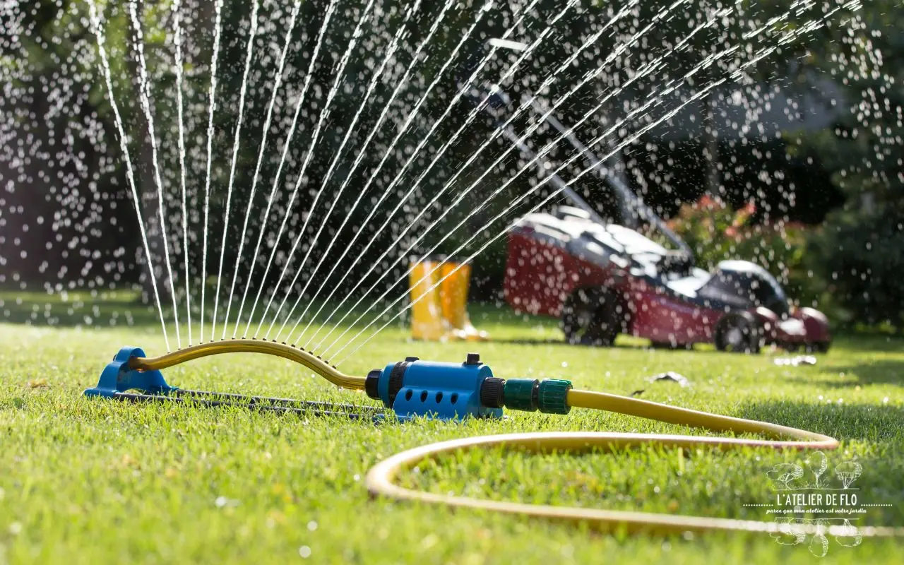 Arrosage automatique à Rouen : goutte-à-goutte, programmateur et récupération d&rsquo;eau, que reste-t-il d&rsquo;autorisé ?